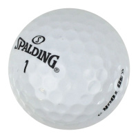 spalding
