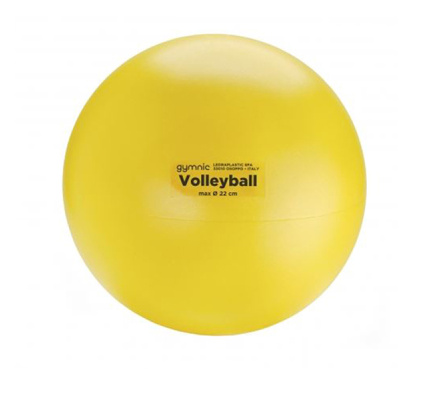 15219-volleybal-sofft