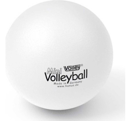 15241-volley