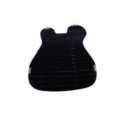 Bodyprotector 