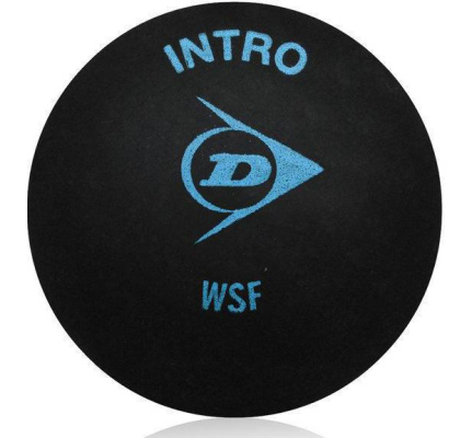 Squashbal Dunlop Intro, per stuk