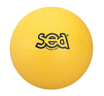 29625-volleybal--sea-beginner-volleyball