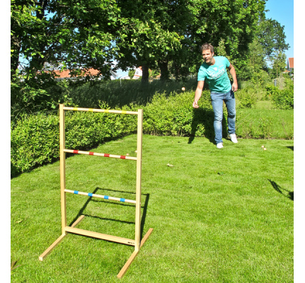 spinladder-bex-2
